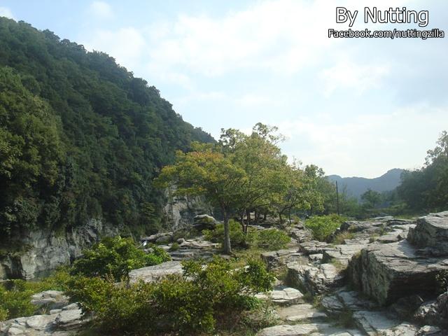 DSC03878.JPG